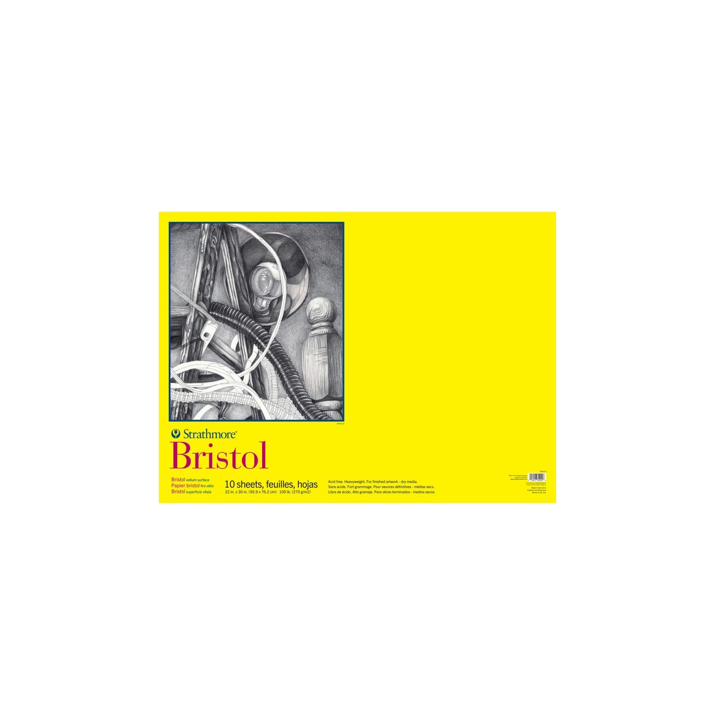 Strathmore 300 Series Bristol Paper Pad, Vellum Finish, Tape Binding, 10 Sheet, 22x30 inch, 1 Count