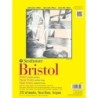 Strathmore 300 Series Bristol Pad, Smooth Finish, Tape Binding, 20 Sheet, 9x12 inch, 1 Count