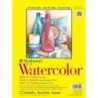Strathmore 300 Series Watercolor Pad, Cold Pressed, Tape Binding, 12 Sheet, 9x12 inch, 1 Count