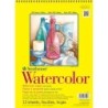 Strathmore 300 Series Watercolor Pad, Cold Pressed, Top Wire Binding, 12 Sheet, 9x12 inch, 1 Count