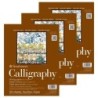 Strathmore 400 Series Calligraphy Paper Pad, Tape Binding, 50 Sheet, 8.5x11 inch, 1 Count, Pack of 3