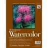 Strathmore 400 Series Watercolor Paper Block, 15 Sheet, 9x12 inch, 1 Count