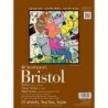 Strathmore 400 Series Bristol Paper Pad, Vellum Finish, 2-Ply, Tape Binding, 15 Sheet, 9x12 inch, 1 Count