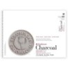 Strathmore 500 Series Charcoal Paper Pad, Assorted Colors, 24 Sheet, 18x24 inch, 1 Count