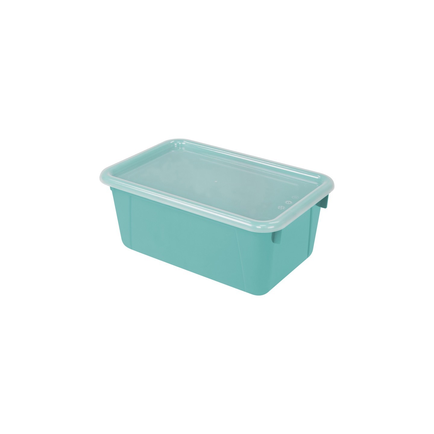 Storex Small Cubby Bin with Cover, Classroom Teal