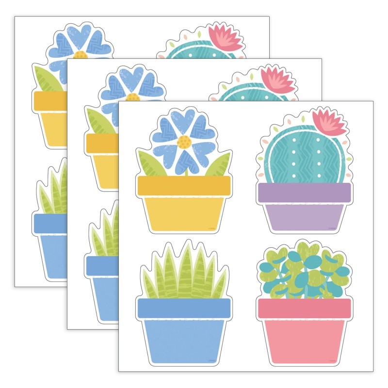 TREND Garden Plants Classic Accents® Variety Pack, 36 Per Pack, 3 Packs