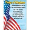 TREND Pledge of Allegiance Learning Chart, 17" x 22"