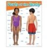 TREND Parts of the Body Learning Chart, 17" x 22"