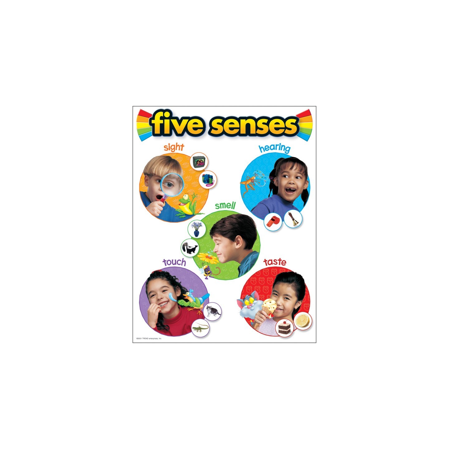 TREND Five Senses Learning Chart, 17" x 22"