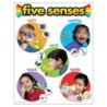 TREND Five Senses Learning Chart, 17" x 22"