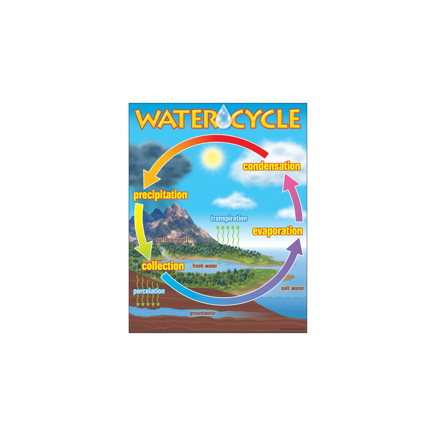 TREND The Water Cycle Learning Chart, 17" x 22"
