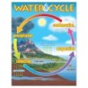 TREND The Water Cycle Learning Chart, 17" x 22"