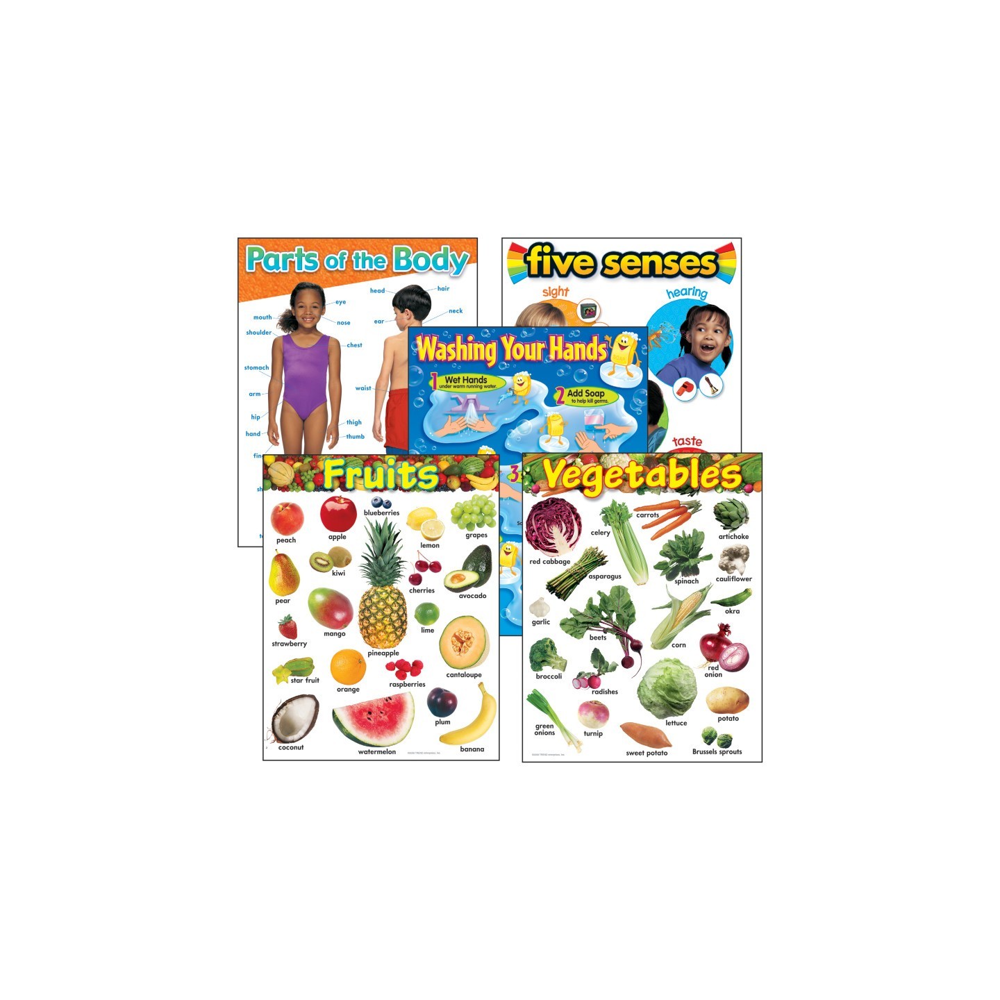TREND Healthy Living Learning Charts Combo Pack, Set of 5