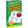 TREND Vowels and Vowel Teams Skill Drill Flash Cards