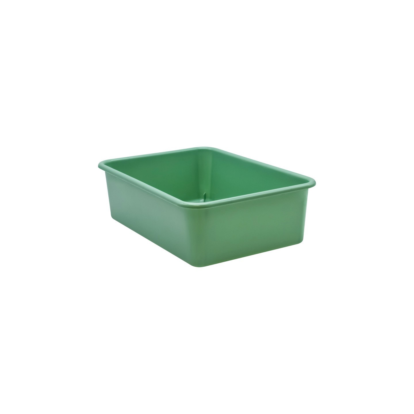 Teacher Created Resources® Eucalyptus Green Large Plastic Storage Bin