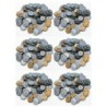 Teacher Created Resources® Play Money: Assorted Coins, Pack of 6