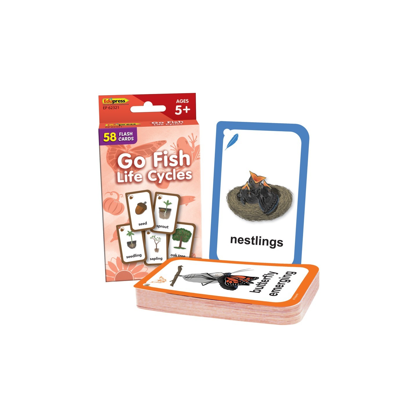 Edupress™ Go Fish: Life Cycles Flash Cards