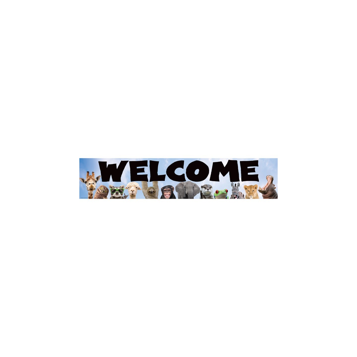 Teacher Created Resources® Go Wild Animals Welcome Banner, 8" x 39"