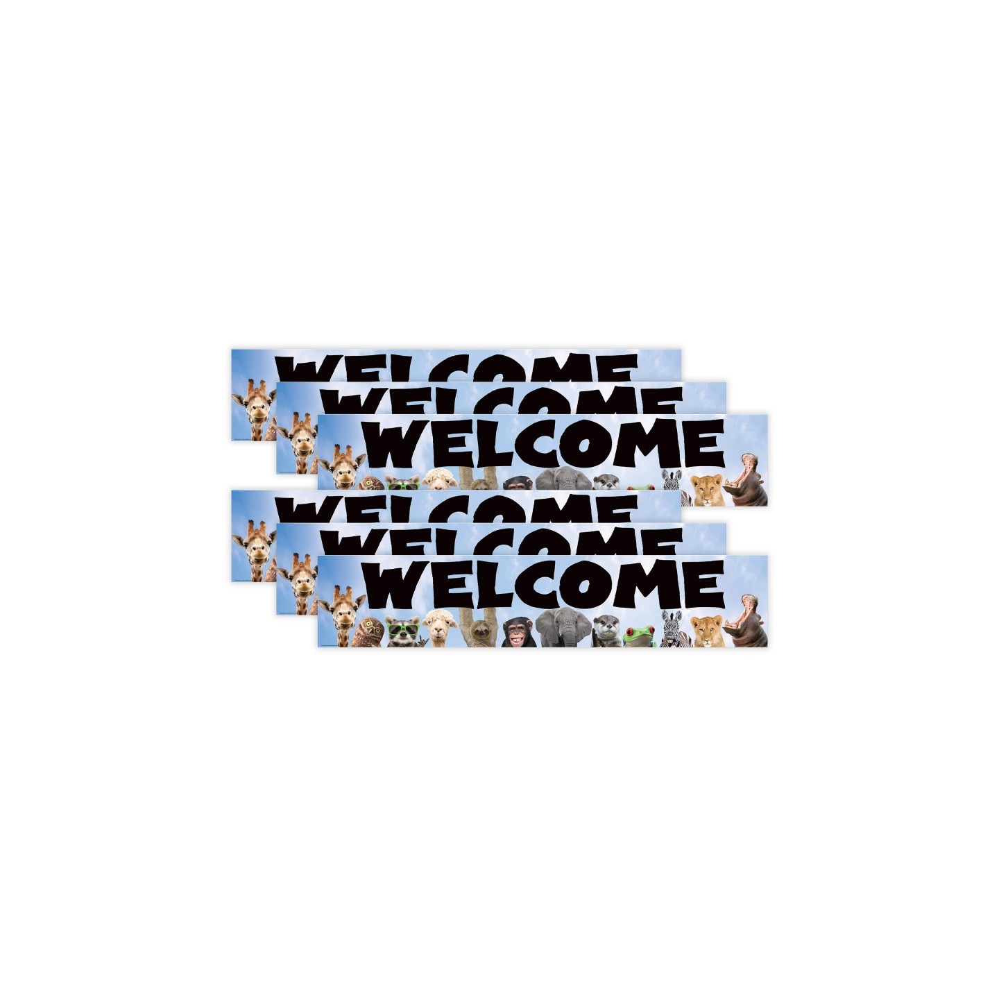 Teacher Created Resources® Go Wild Animals Welcome Banner, 8" x 39", Pack of 6