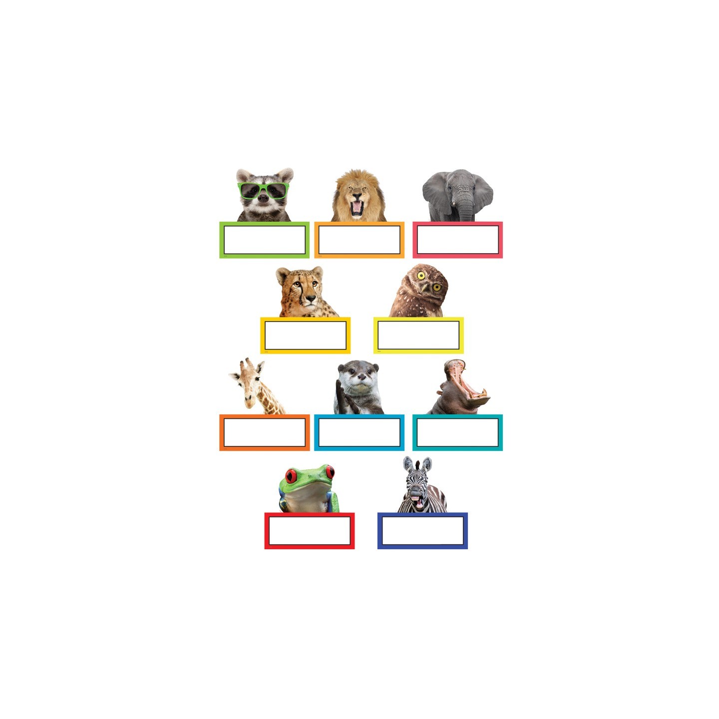 Teacher Created Resources® Go Wild Animals Accents, Pack of 30