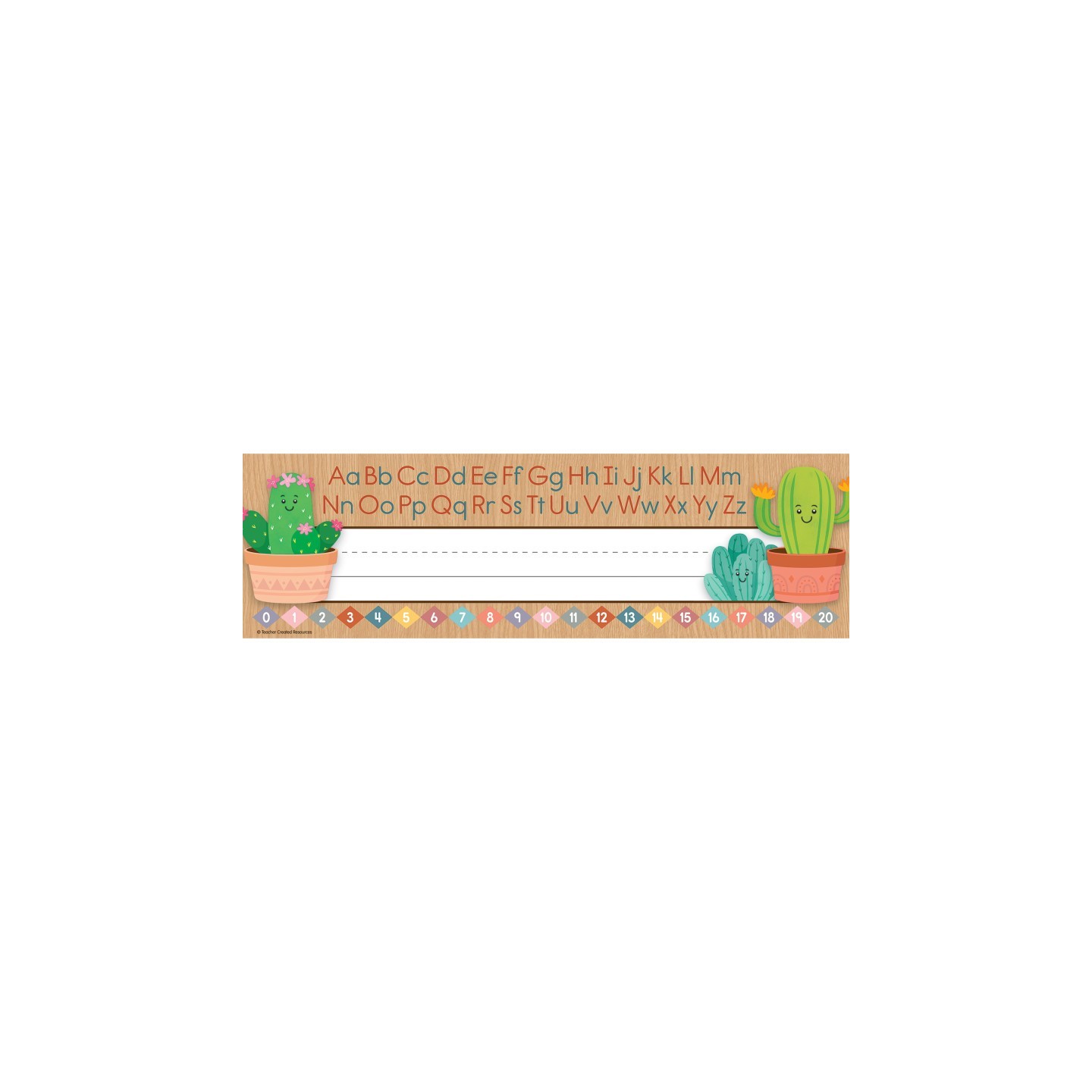Teacher Created Resources® Happy Cactus Crew Flat Name Plates, Pack of 36