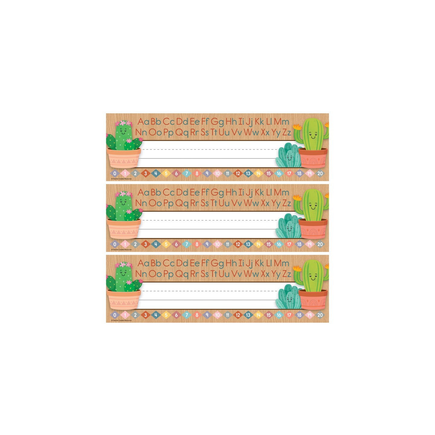 Teacher Created Resources® Happy Cactus Crew Flat Name Plates, 36 Per Pack, 3 Packs