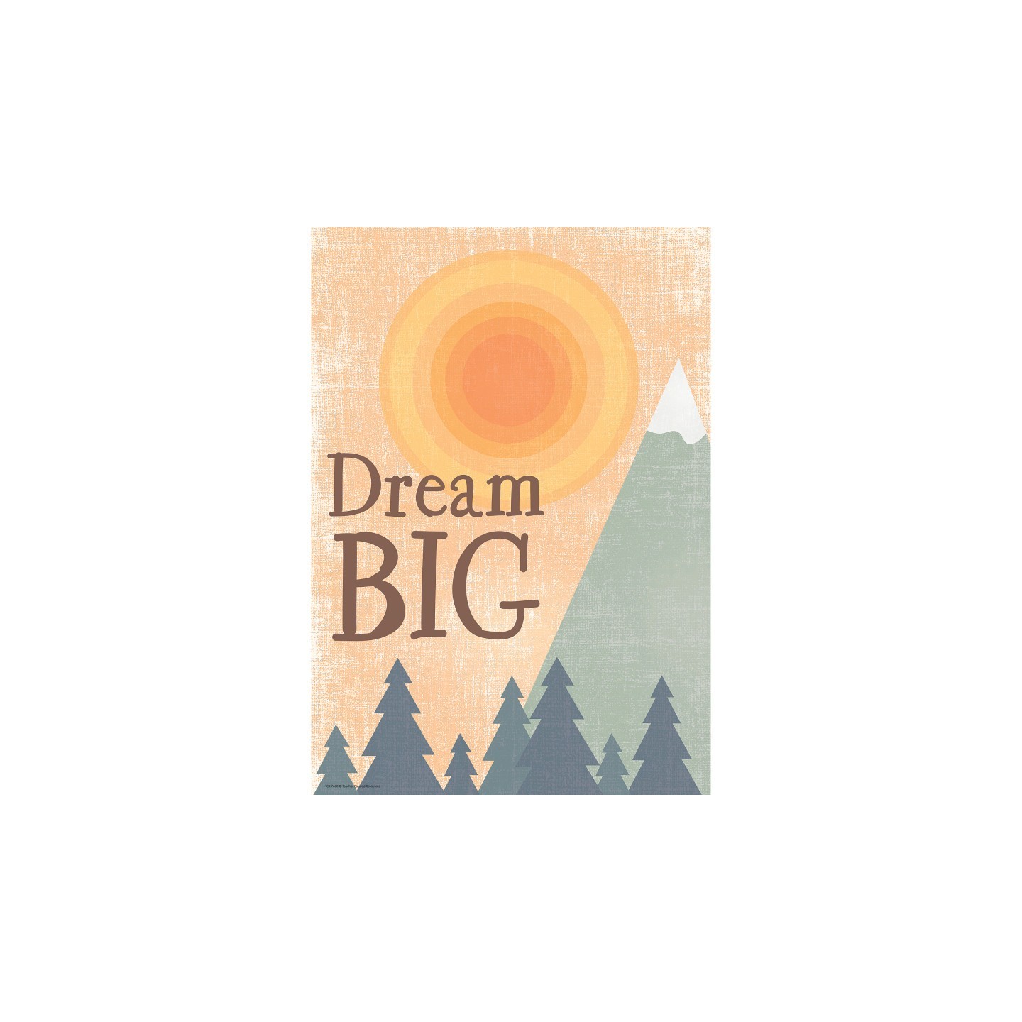 Teacher Created Resources® Dream Big Positive Poster