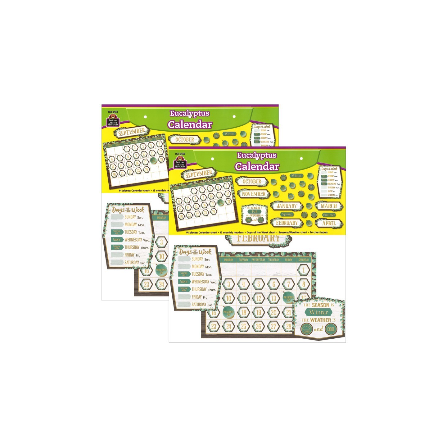 Teacher Created Resources® Eucalyptus Calendar Bulletin Board Set, 2 Sets