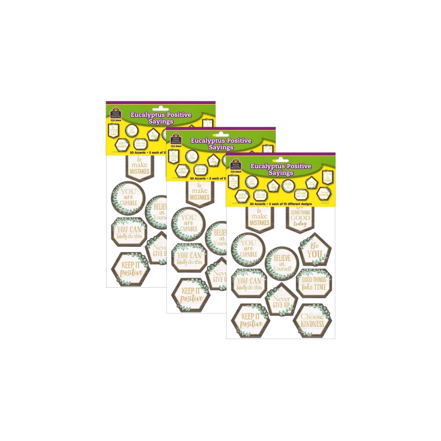 Teacher Created Resources® Eucalyptus Positive Sayings Accents, 30 Per Pack, 3 Packs
