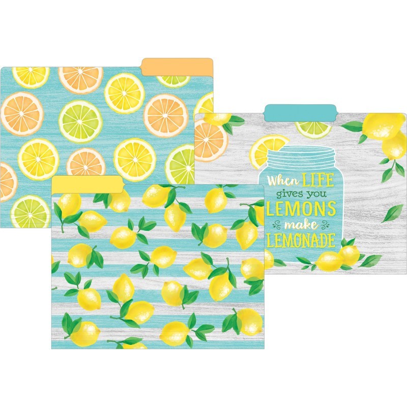 Teacher Created Resources® Lemon Zest Letter-Sized File Folders, Pack of 12