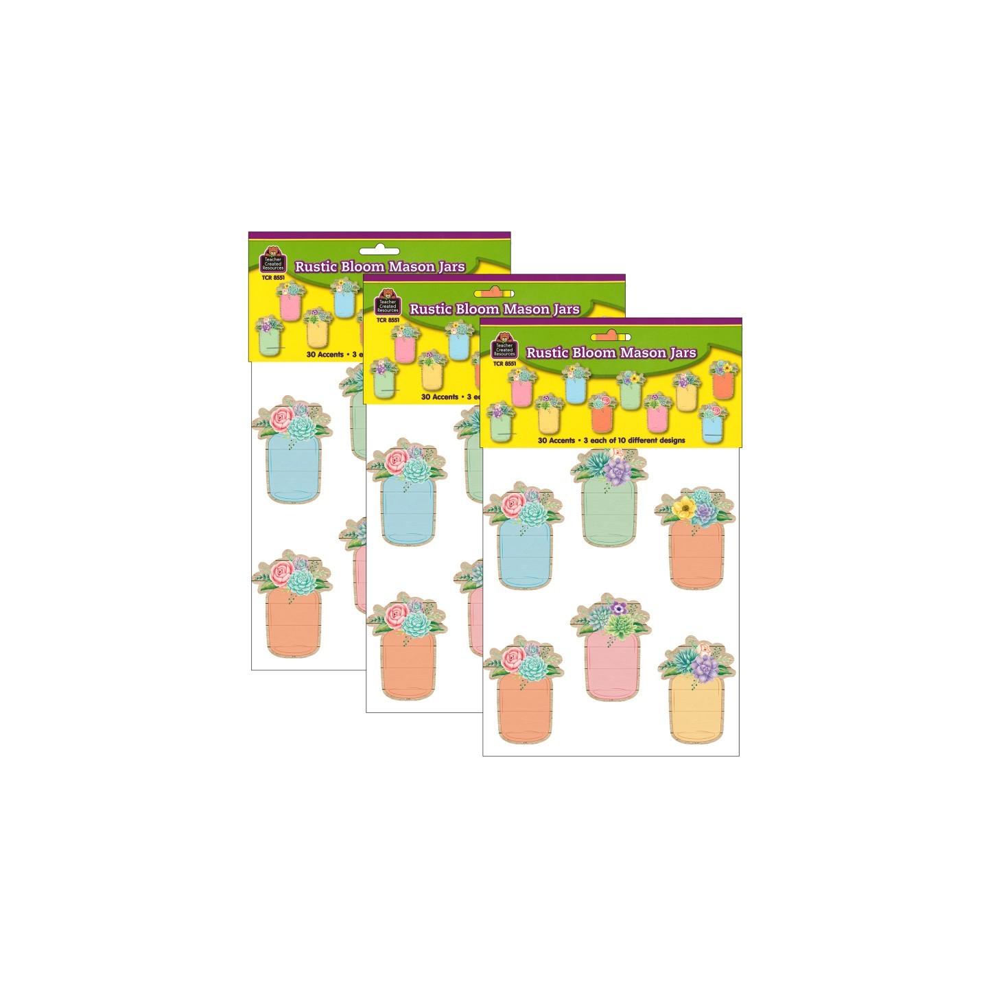 Teacher Created Resources® Rustic Bloom Mason Jars Accents, 30 Per Pack, 3 Packs