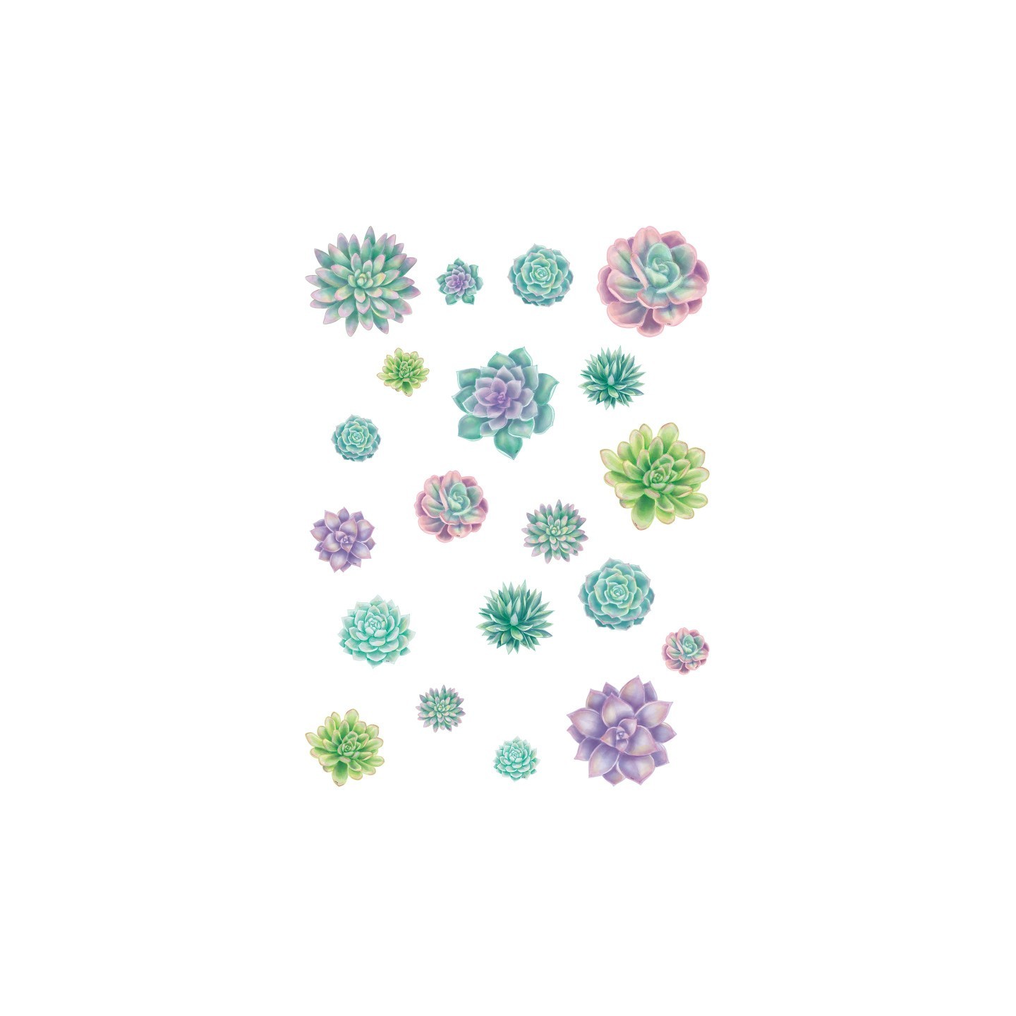 Teacher Created Resources® Rustic Bloom Succulents Accents - Assorted Sizes