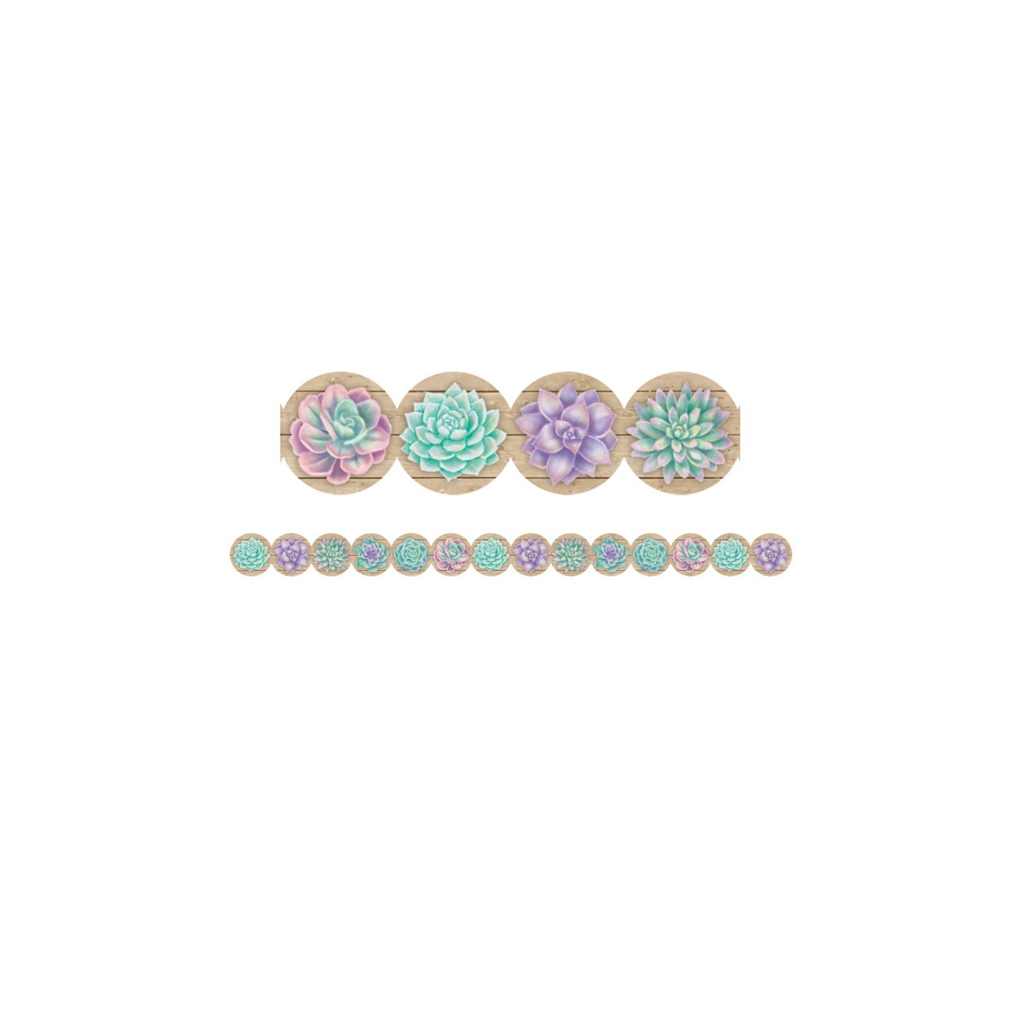 Teacher Created Resources® Rustic Bloom Succulents Die-Cut Border Trim, 35 Feet