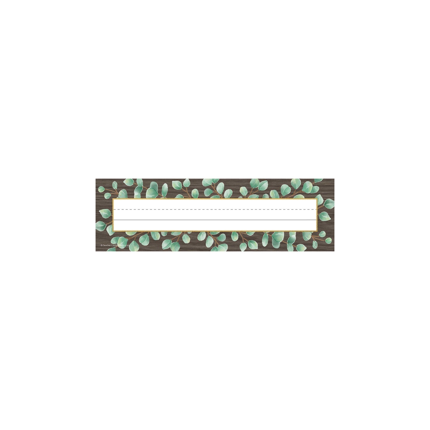 Teacher Created Resources® Eucalyptus Flat Name Plates, Pack of 36