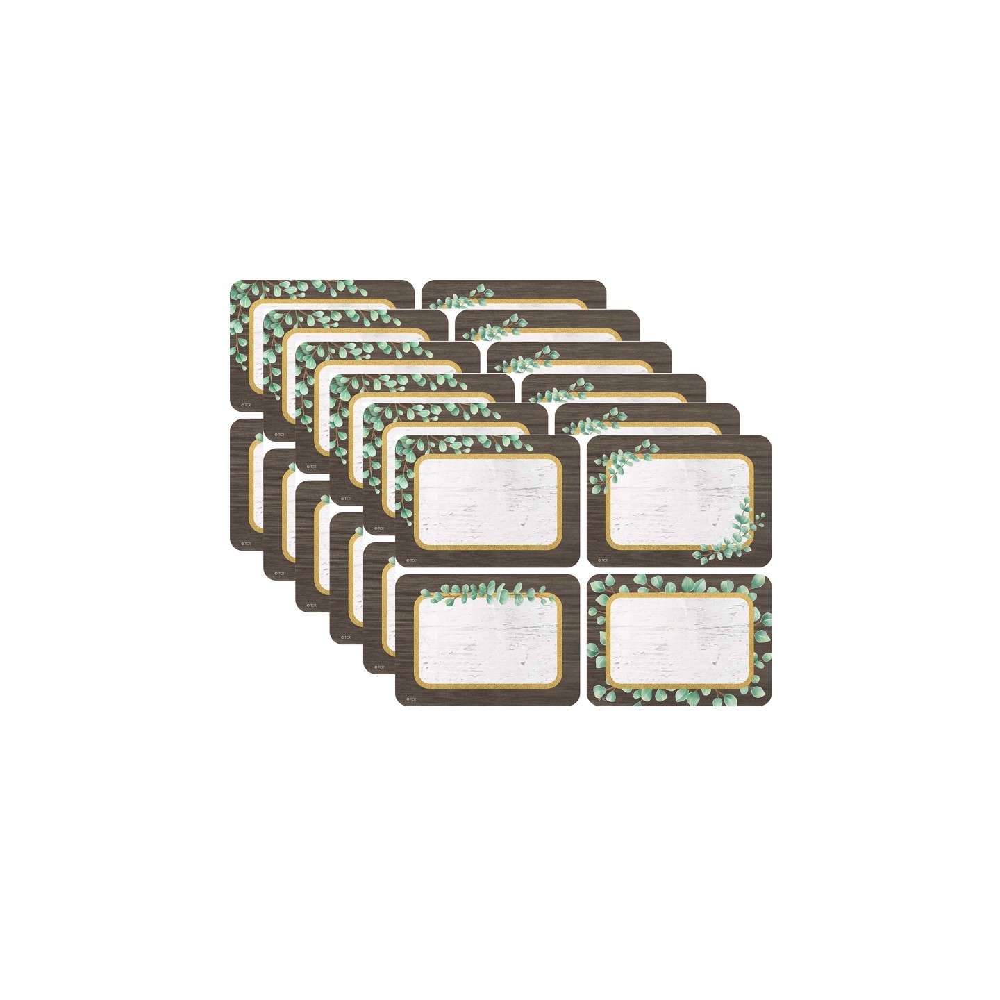 Teacher Created Resources® Eucalyptus Name Tags/Labels Multi-Pack, 36 Per Pack, 6 Packs