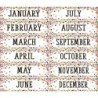 Teacher Created Resources® Confetti Monthly Headliners