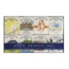 Winsor & Newton Drawing Ink, 14 mL Bottles, Set Of 8, William Color Collection