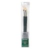 Winsor & Newton Winton Oil Brushes, Long Handle, Set of 3