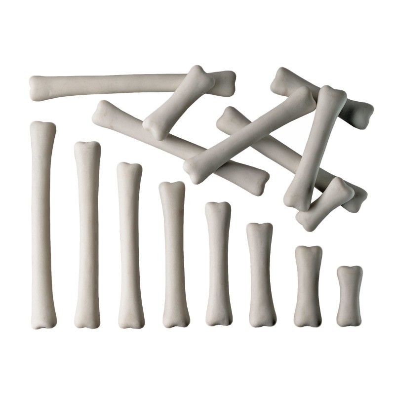 Yellow Door Dinosaur Bones Match & Measure Set