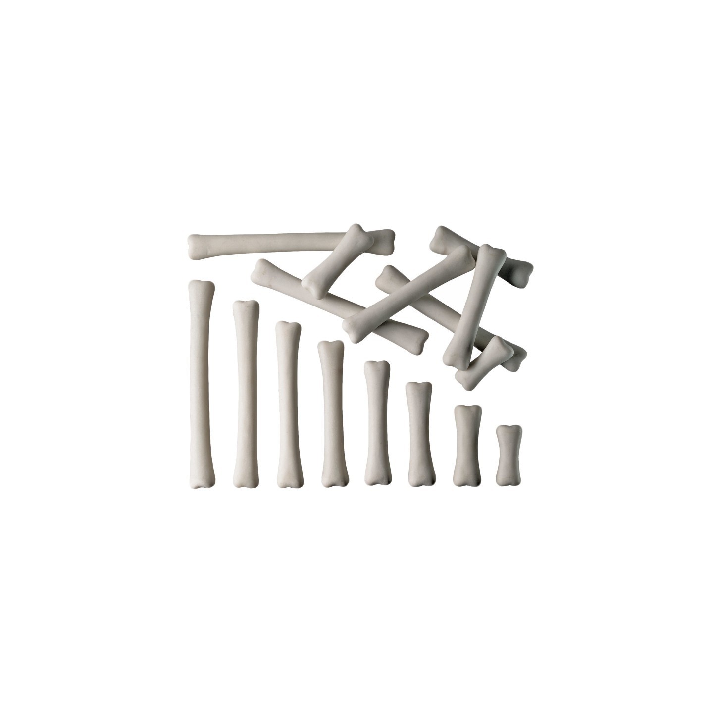 Yellow Door Dinosaur Bones Match & Measure Set