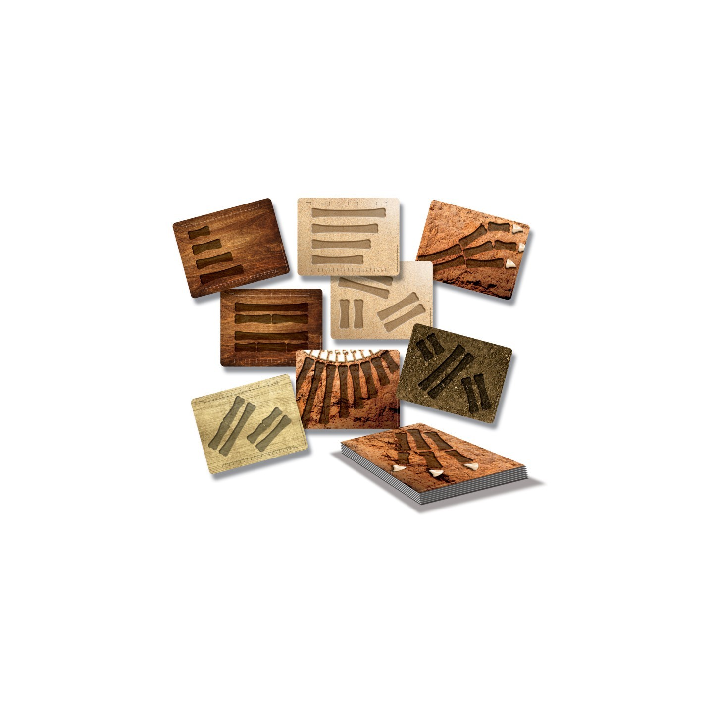 Yellow Door Dinosaur Bones Match and Measure Activity Cards