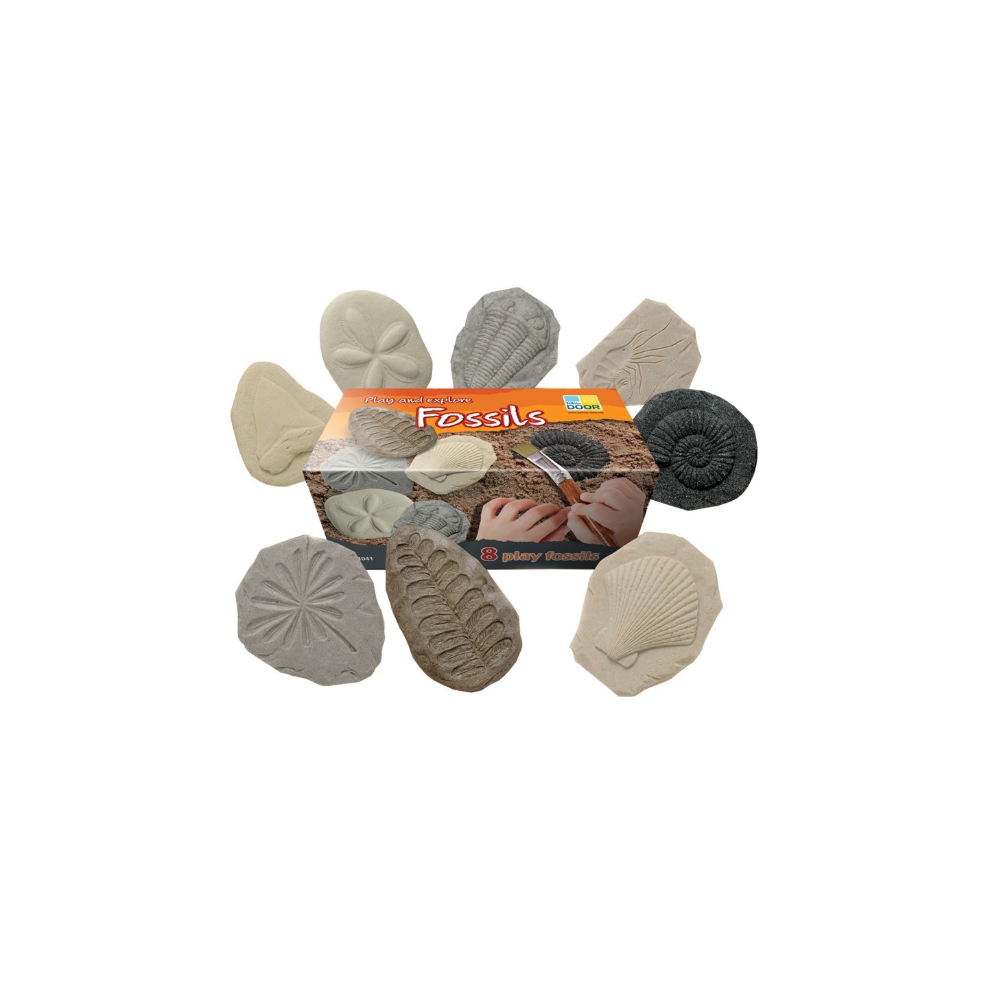 Yellow Door Let's Investigate Fossil Stone, Pack of 8