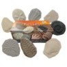 Yellow Door Let's Investigate Fossil Stone, Pack of 8