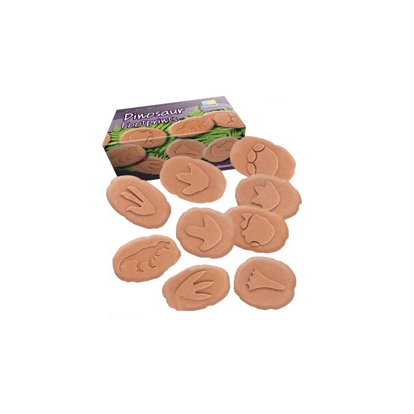 Yellow Door Let's Investigate Dinosaur Footprints