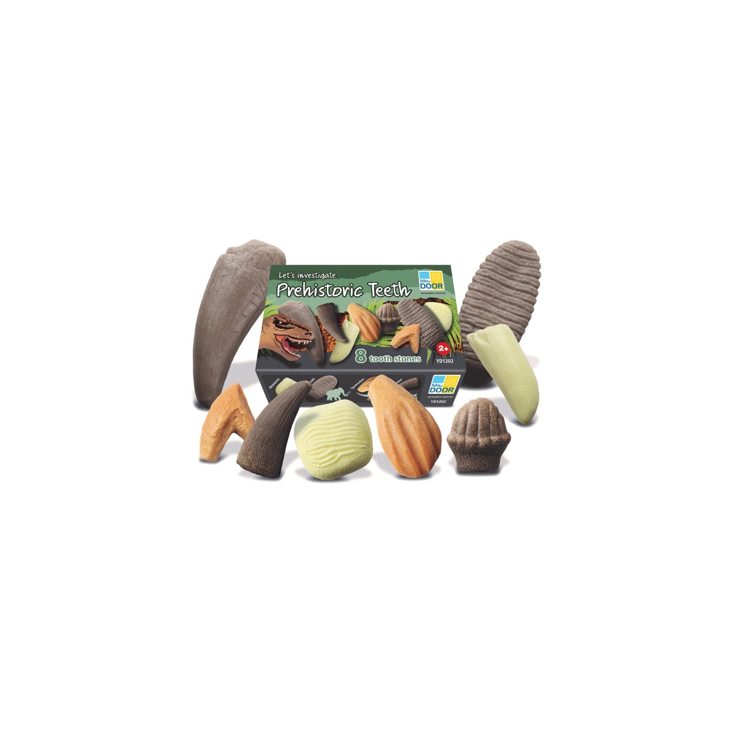 Yellow Door Let's Investigate – Prehistoric Teeth, Set of 8