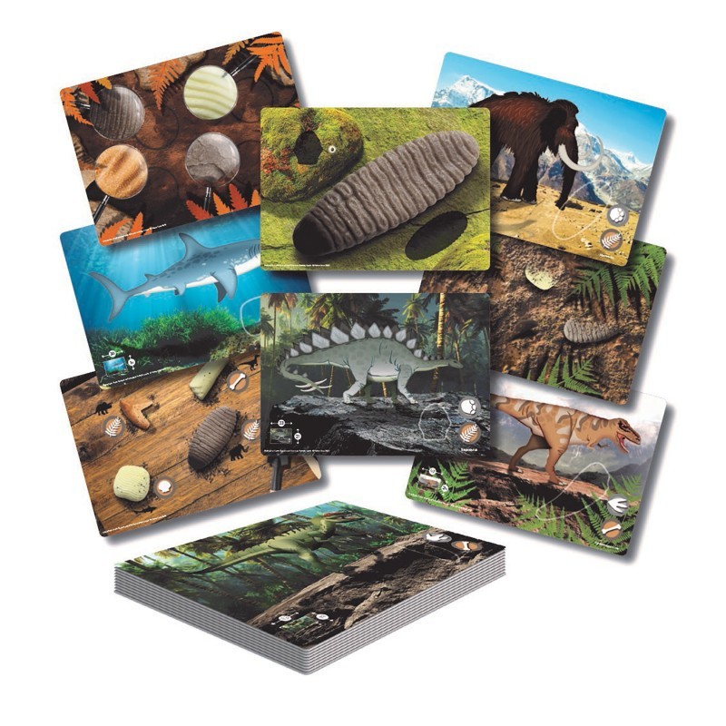 Yellow Door Prehistoric Teeth – Explore and Discover Activity Cards, Set of 16