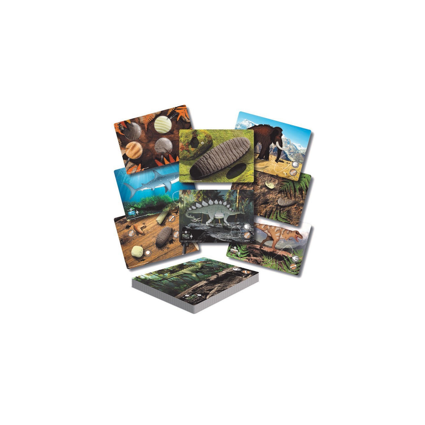 Yellow Door Prehistoric Teeth – Explore and Discover Activity Cards, Set of 16