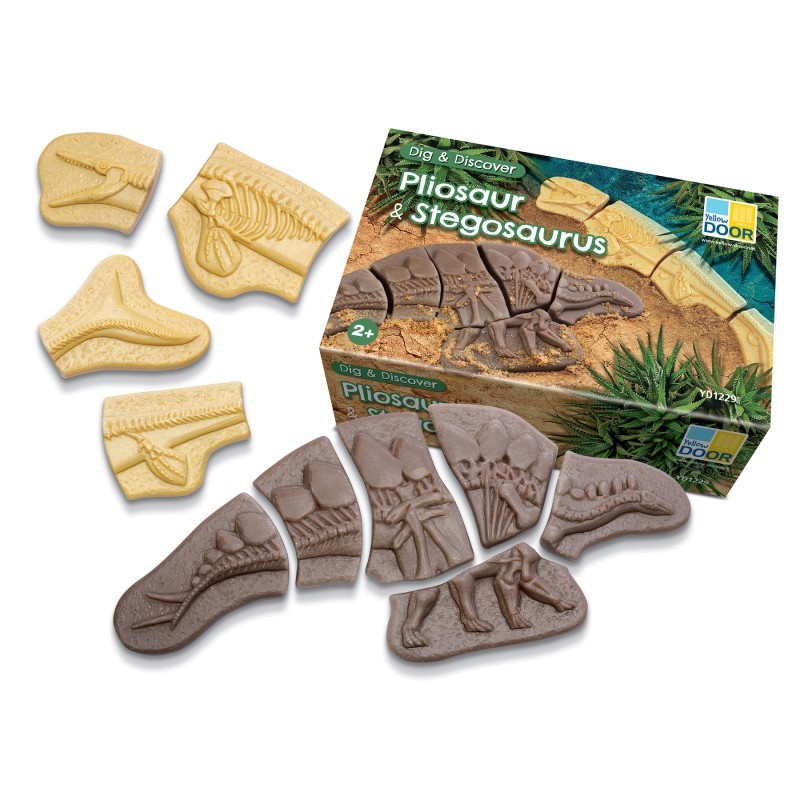 Yellow Door Dig and Discover - Pliosaur & Stegosaurus