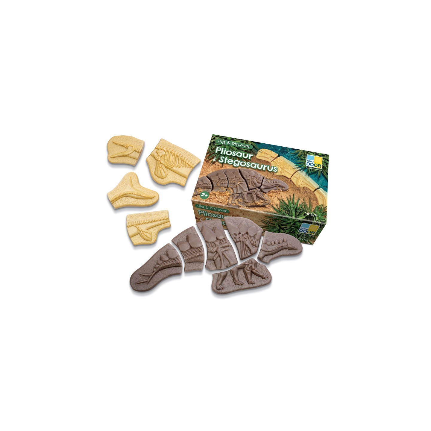 Yellow Door Dig and Discover - Pliosaur & Stegosaurus