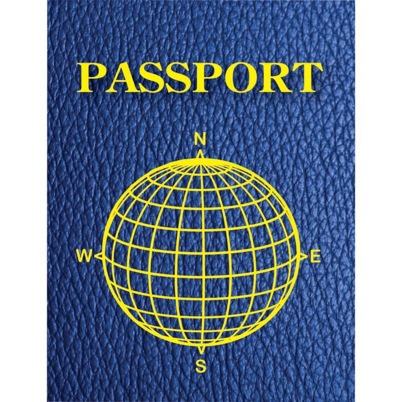 Ashley Productions® Blank Passports, Pack of 12